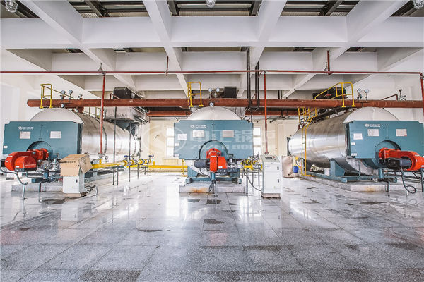 2t/h生物质锅炉设备参数