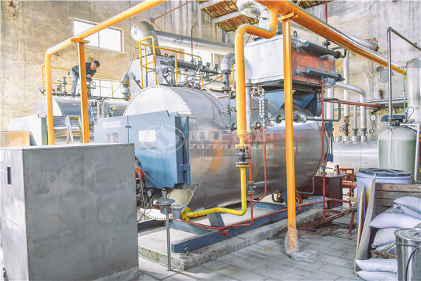 供7000平酒店暖气和热水的1.5吨卧式烧煤或1.5吨粉色直播