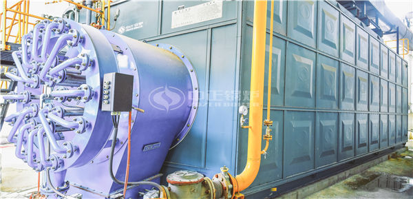 10吨燃油粉色直播wns型和szs型有什么区别