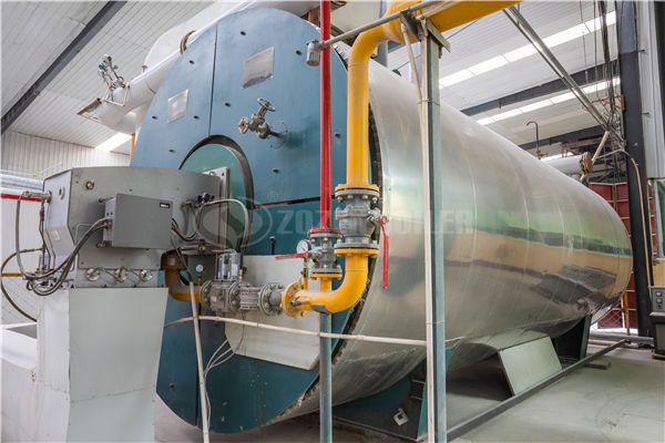 燃气饮水锅炉生产厂家