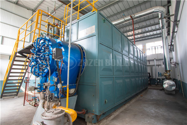 供7000平酒店暖气和热水的1.5吨卧式烧煤或1.5吨粉色直播