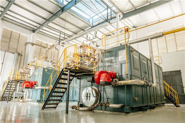 哈尔滨国产免费粉色APP